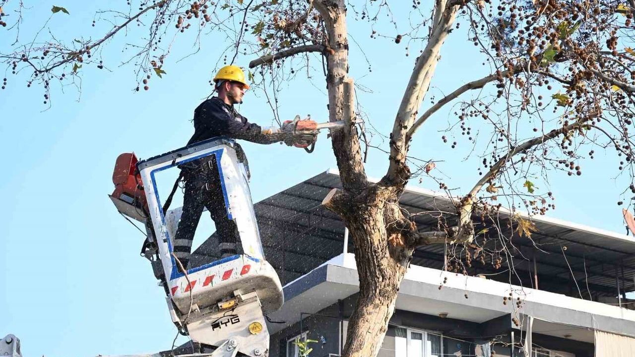 Aydın Büyükşehir Efeler'de Çevre Bakımını Hızlandırdı