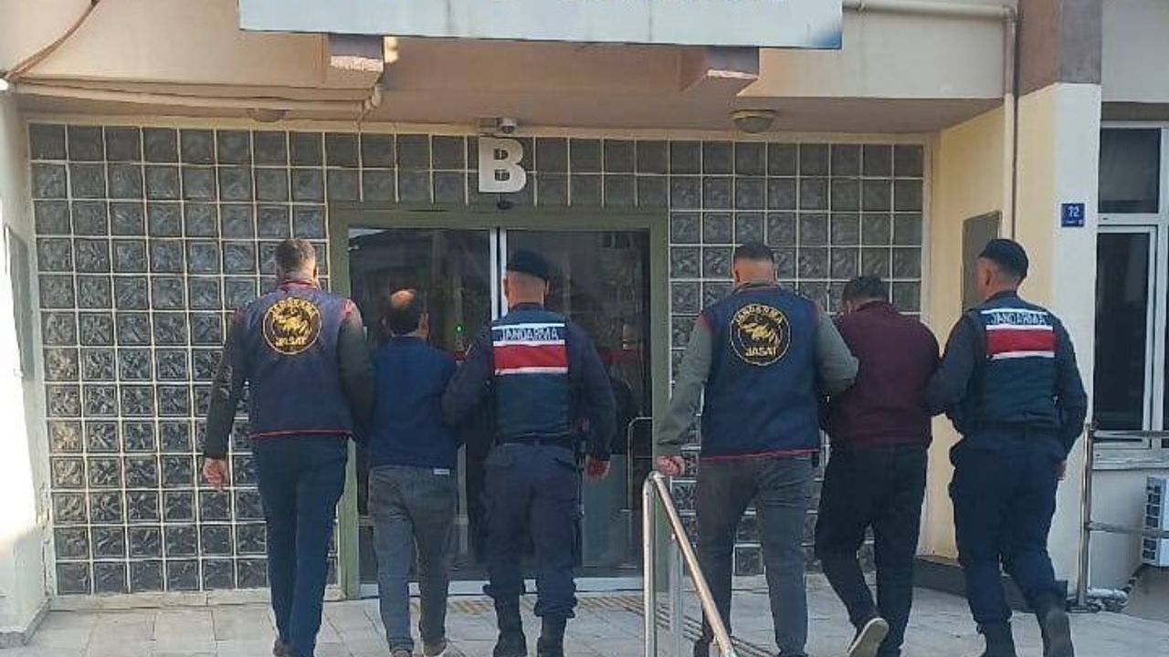 Aydın'da 400 kg zeytin çalındı, Köşk'te fabrikada bulundu