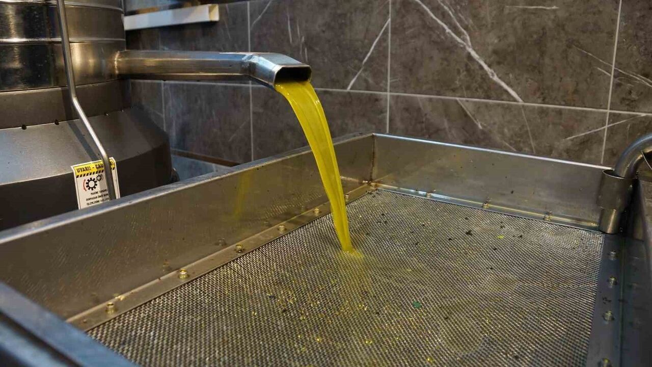 Aydın'da Zeytinyağı Fiyatları Yükseldi: Tariş Yeni Fiyatları Açıkladı