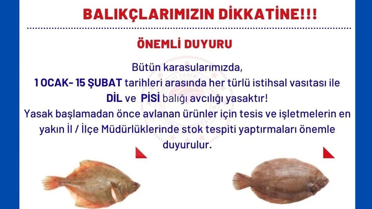 Aydın'dan balıkçılara uyarı: Dil ve pisi avı 1 Ocak-15 Şubat arası yasak