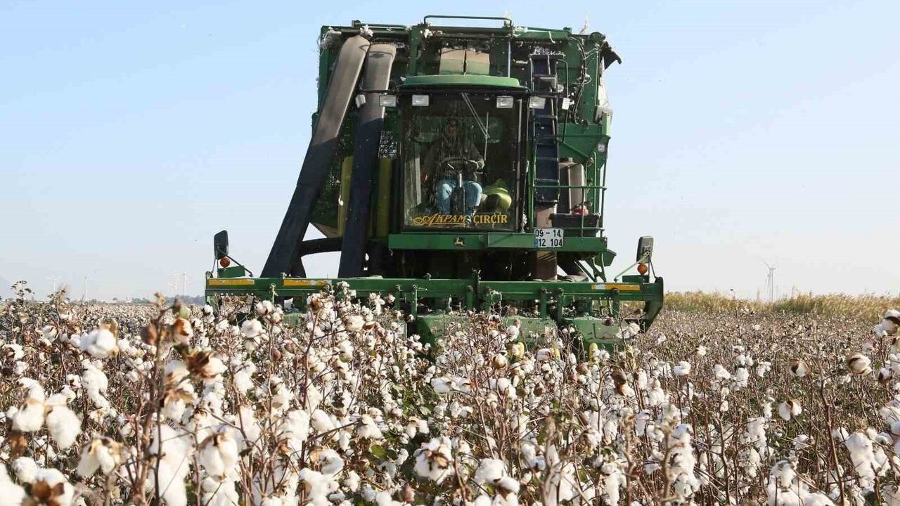 Aydın İl Tarım Müdürlüğü'nden ÇKS Uyarısı: Kayıtlar 31 Aralık 2025'e Kadar Tamamlanmalı