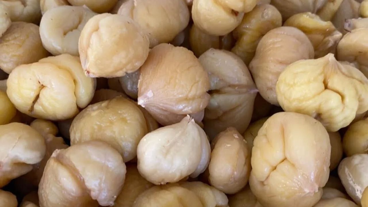 Aydın Kestanesi İhracata Hazırlanıyor — Türkiye Üretiminin %33'ü