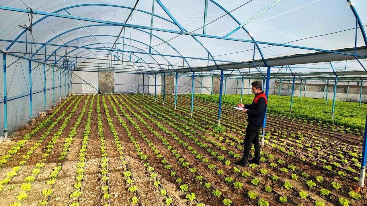 Babaeski’de Sera ve Sarımsak Denetimi: Teknik İnceleme ve Kayıt