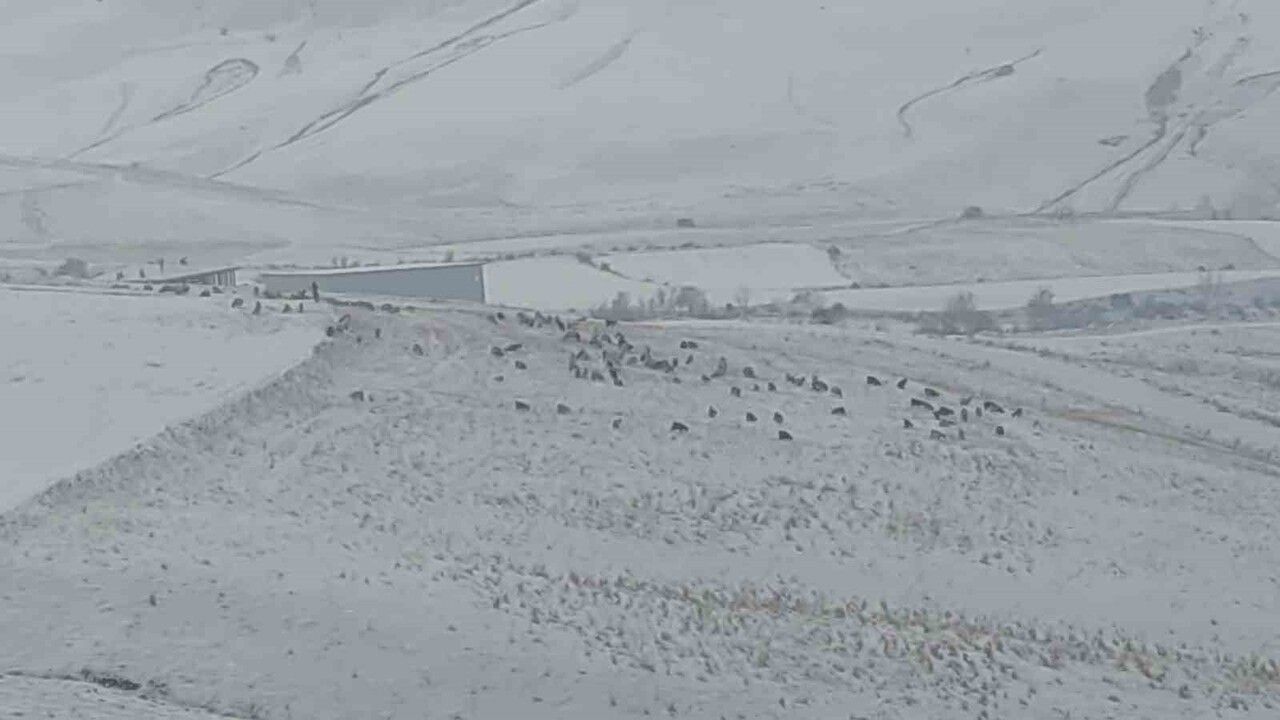 Bahçesaray’da Yoğun Kar: Yüksek Kesimlerde 50 Santimetre