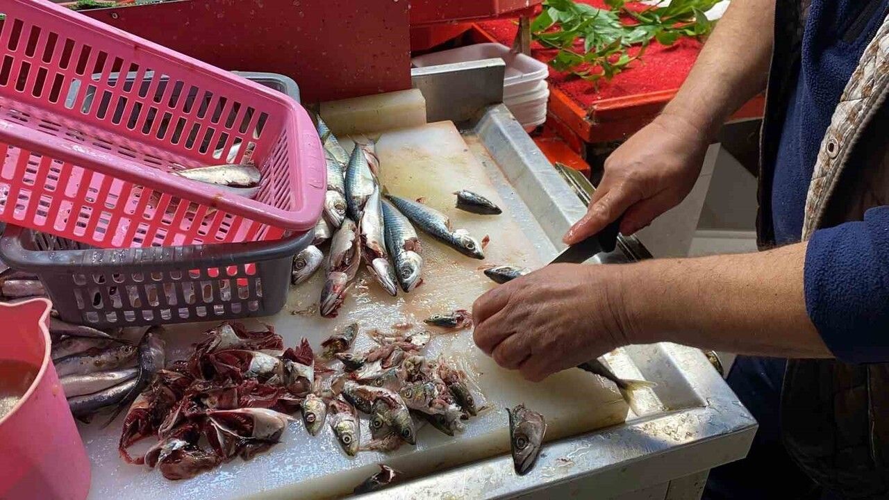 Balığın Tazeliği Gözüyle Anlaşılmaz: İlhan Başaran'dan İstavrit ve Mezgit Uyarısı