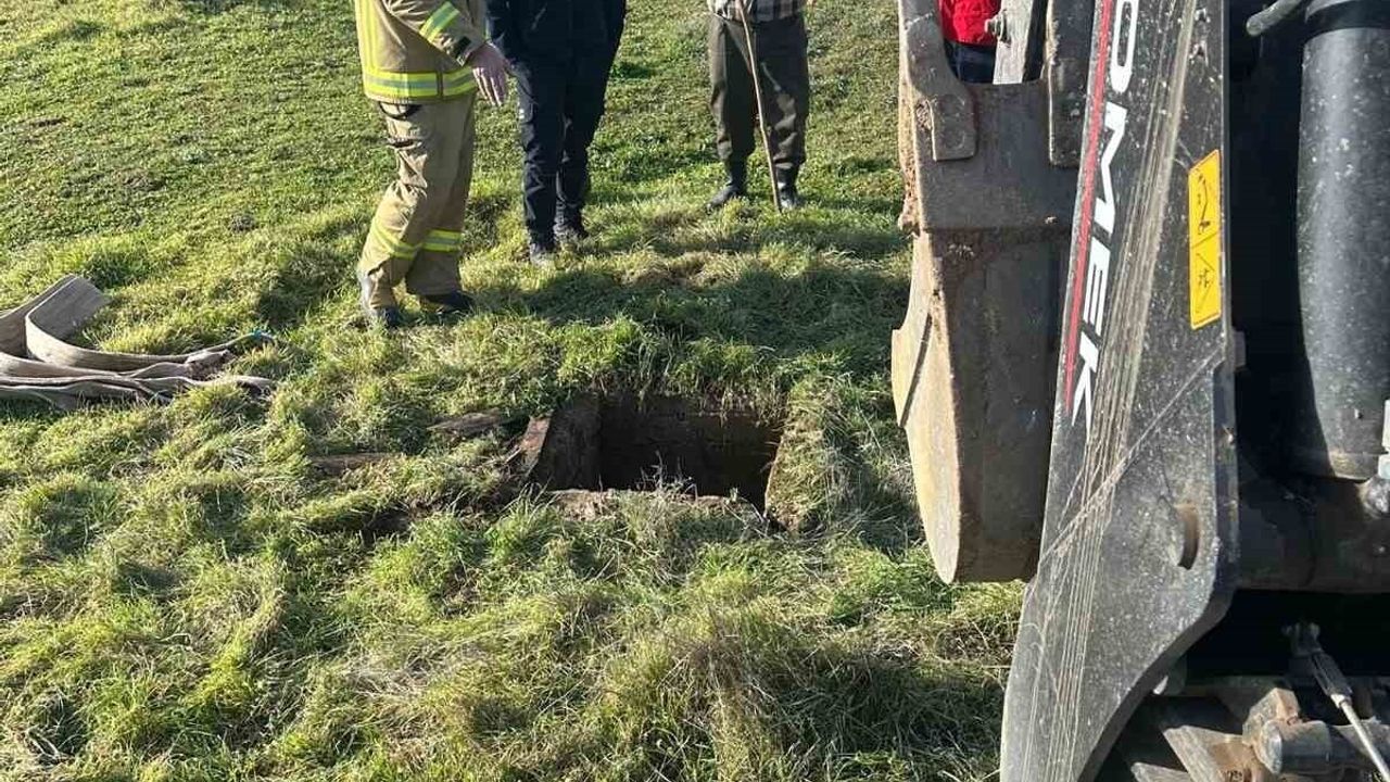 Balıkesir'de 3,5 Metrelik Kuyudan İnek Kurtarıldı