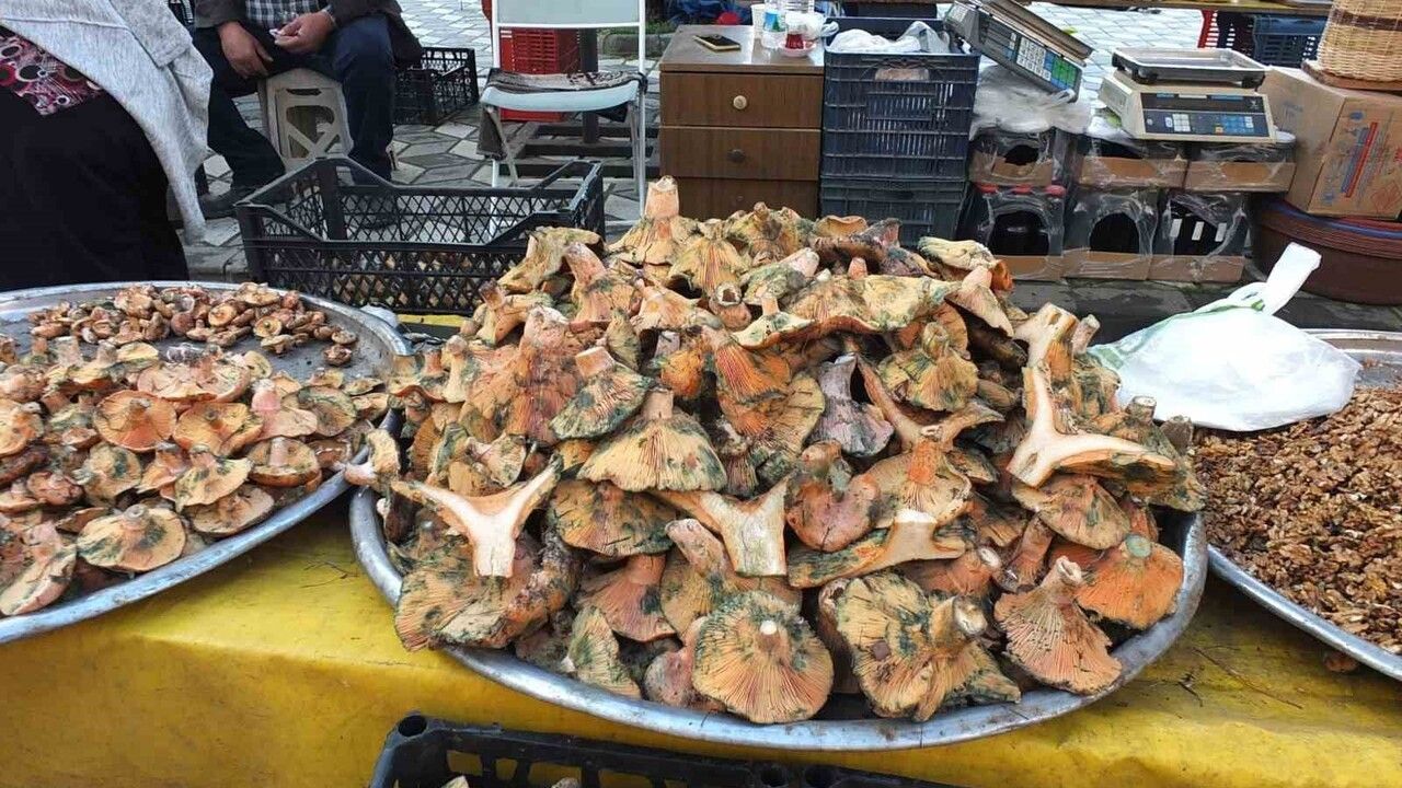 Balıkesir'de Melki Mantarı Bereketi: Fiyat 400 TL'den 100 TL'ye Düştü