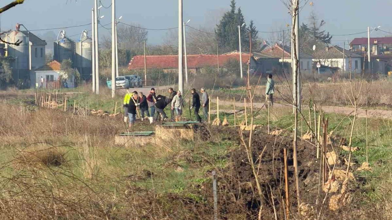 Bandırma Karaçalılık’ta 350 Atkestanesi Toprakla Buluştu