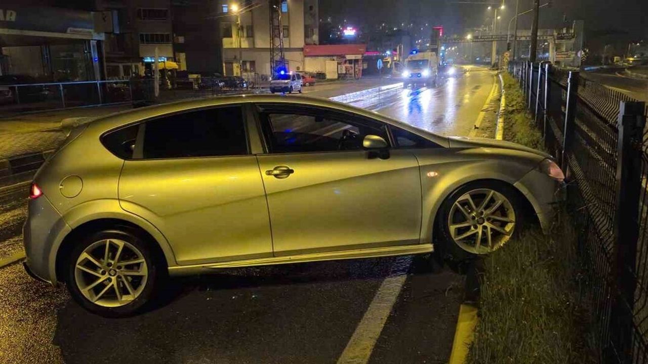 Bartın'da 01:52'de 3 Ayrı Kaza: Köpek Telef, Ufak Sıyrıklarla Atlatıldı