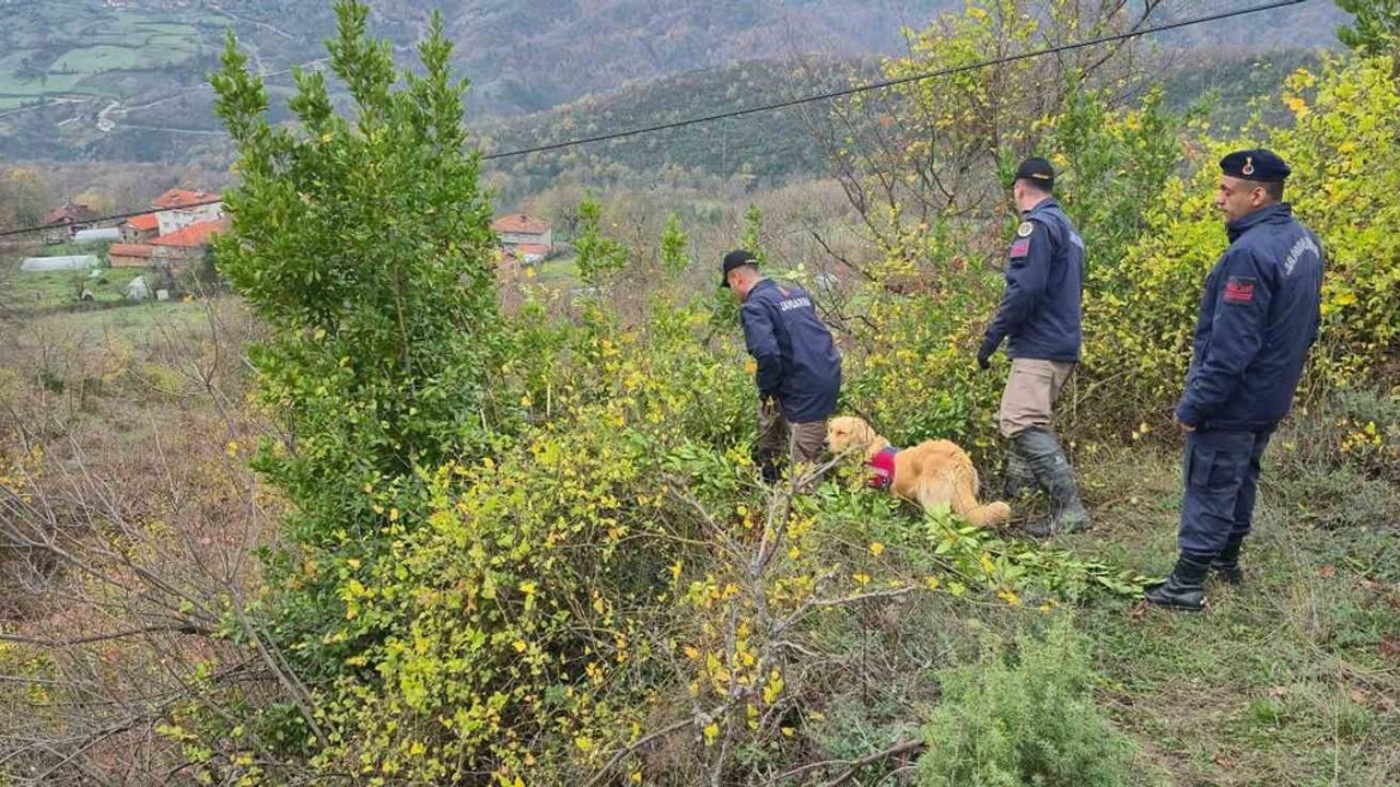 Bartın'da defne toplarken kaybolan 78 yaşındaki kadın ölü bulundu — İHA görüntüleri