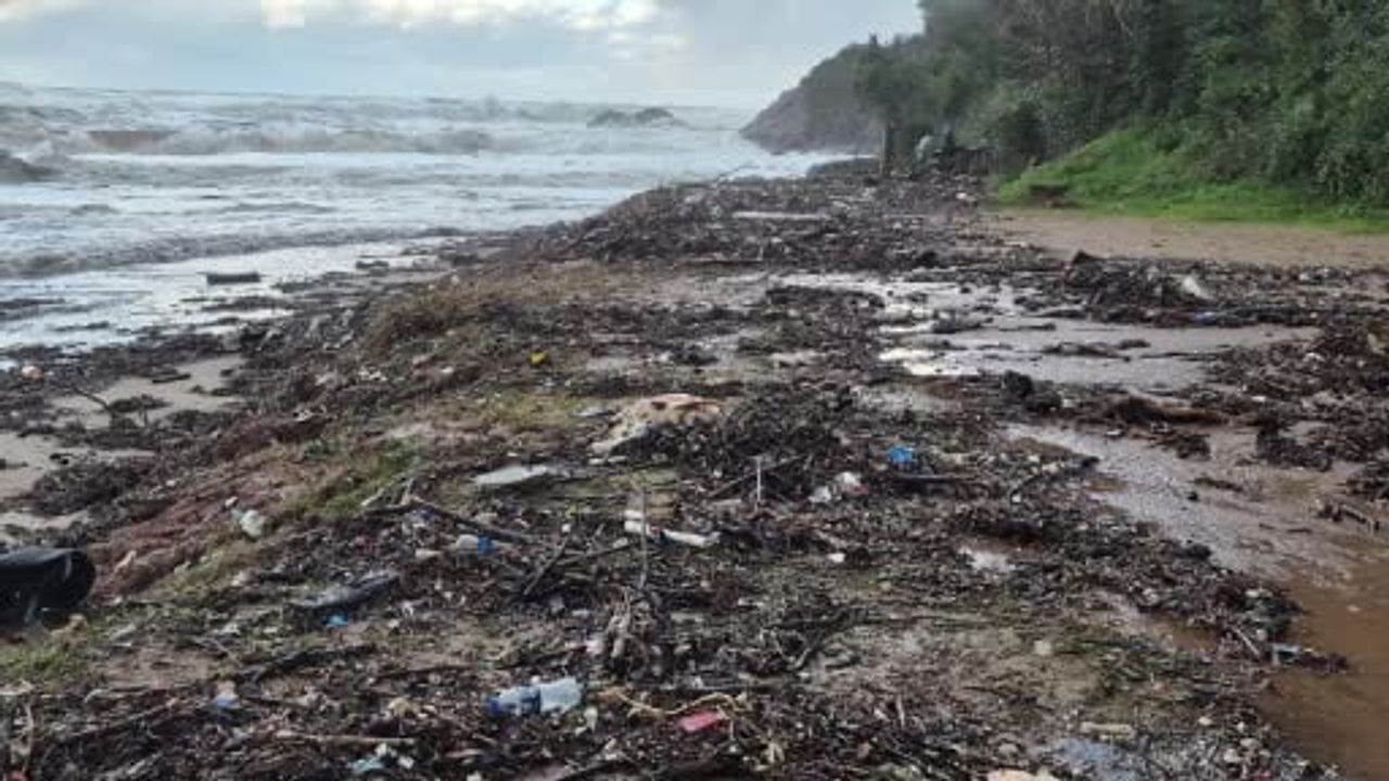 Bartın'da Dev Dalgalar Sahile Yunus Balığı Kalıntısı Getirdi