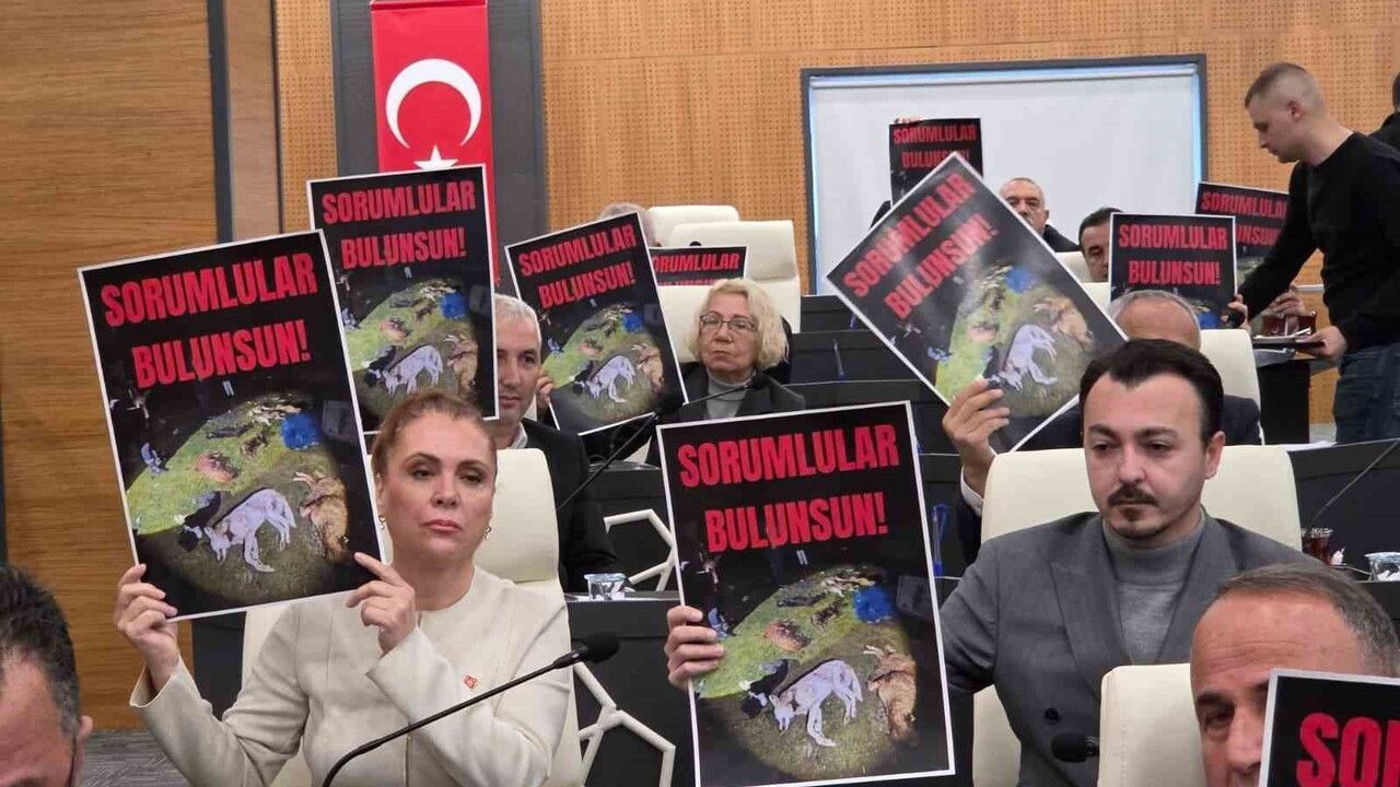 Başkan Kurnaz: "Maksat hayvan sevmek değil, siyaset yapmak" — İlkadım'da 9 köpek tartışması