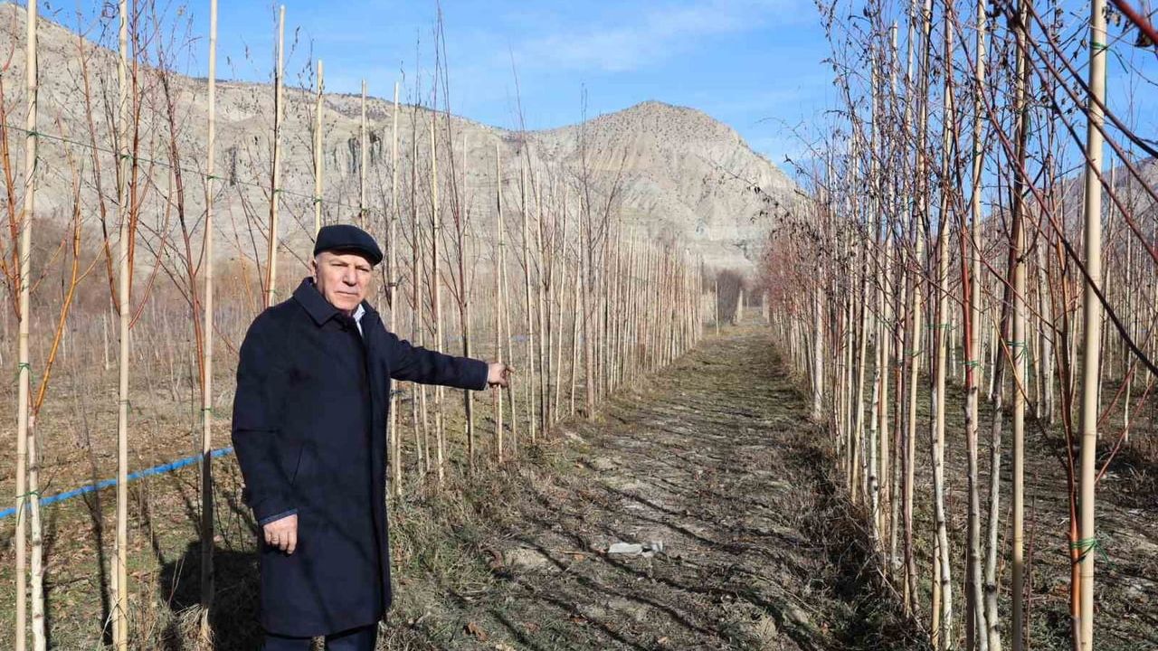 Başkan Sekmen: 'Yerli üretimi güçlendireceğiz' — Tortum ve Uzundere'de inceleme