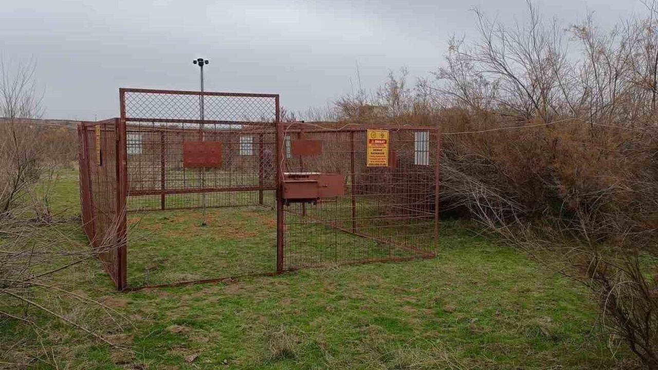 Batman'da 'Elektronik Kafes' ile Yaban Domuzu Mücadelesi