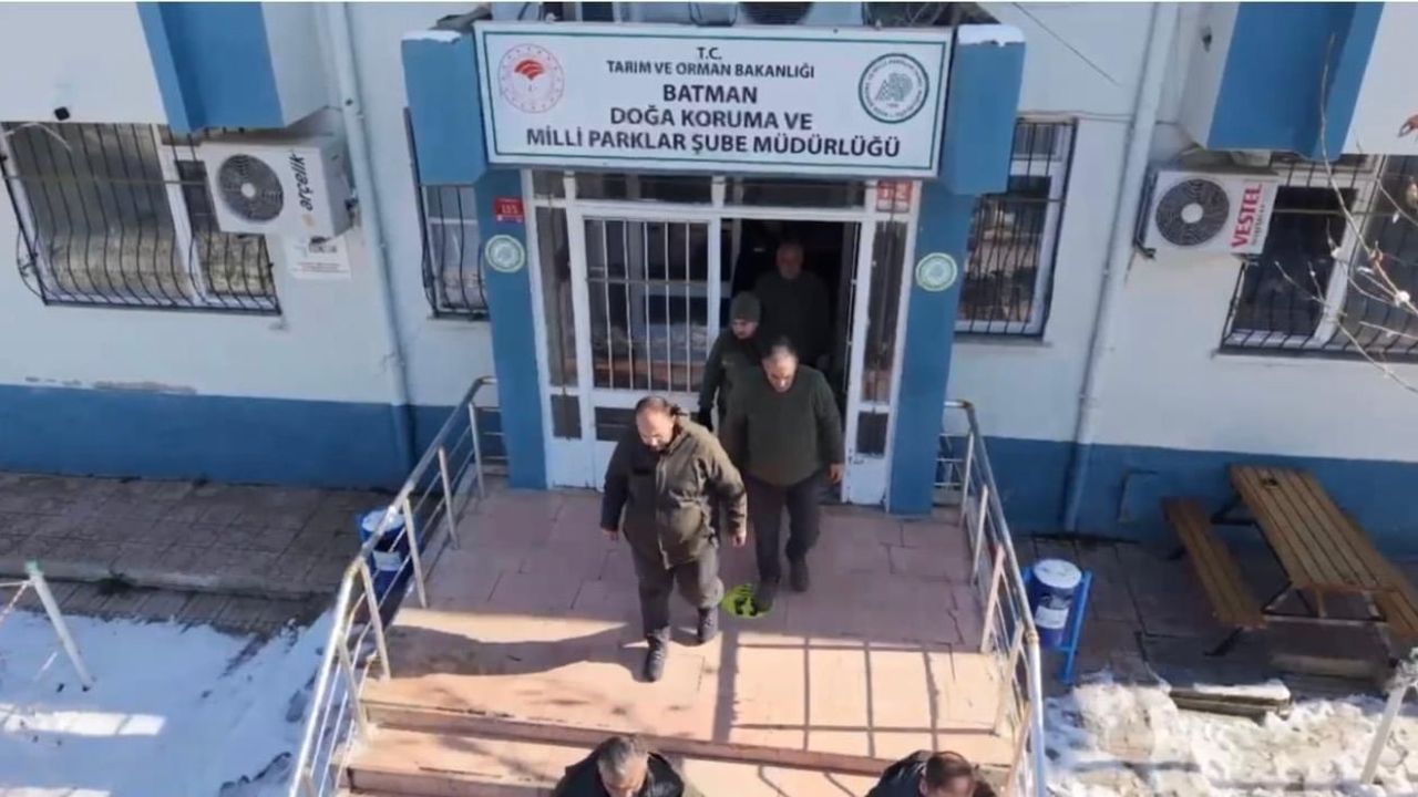 Batman'da Yaban Hayvanlarına Yem Desteği — Kar Kalınlığı 50 cm'e Ulaştı