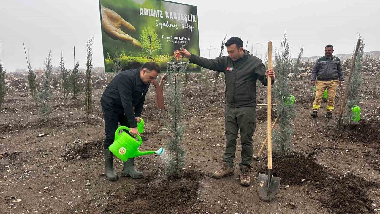 Baybatur’dan Manisa’daki Yanan Ormanlara 1000 Fidan