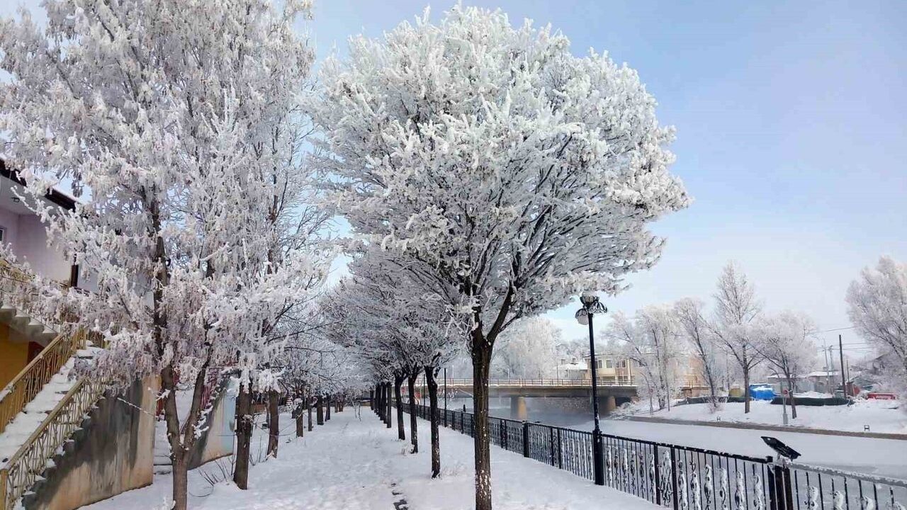 Bayburt Arpalı'da Yoğun Kar: Belde Beyaza Büründü