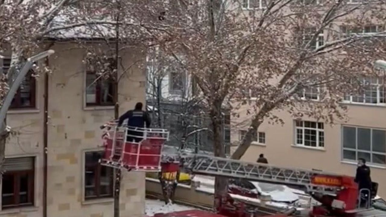 Bayburt'ta İtfaiye Kargayı Ağaçtan Kurtardı