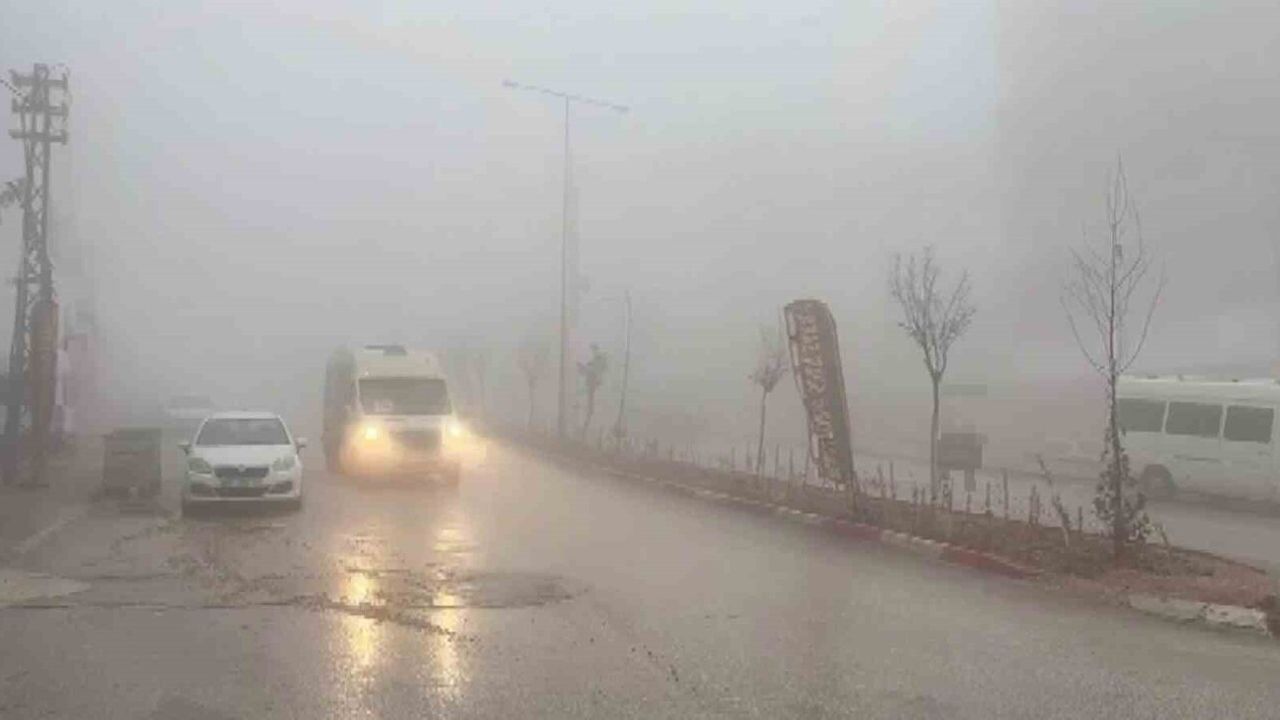 Besni'de Yoğun Sis Görüşü 10-20 Metreye Düşürdü