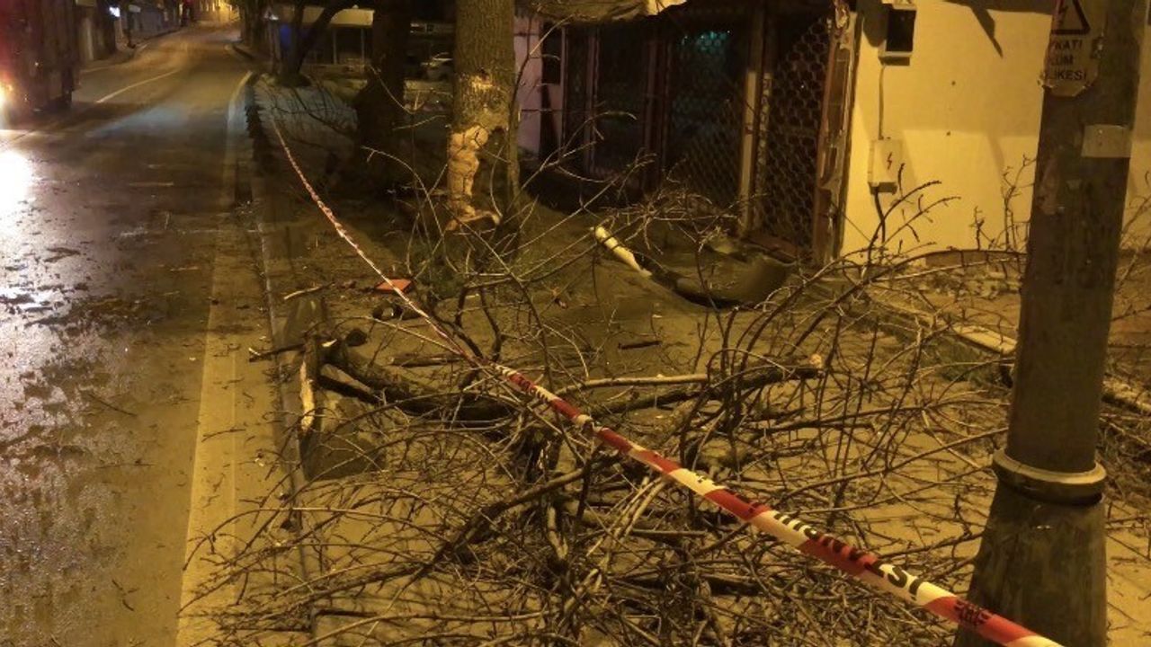 Beykoz'da ehliyetsiz sürücü ağaca çarptı: 2 yaralı