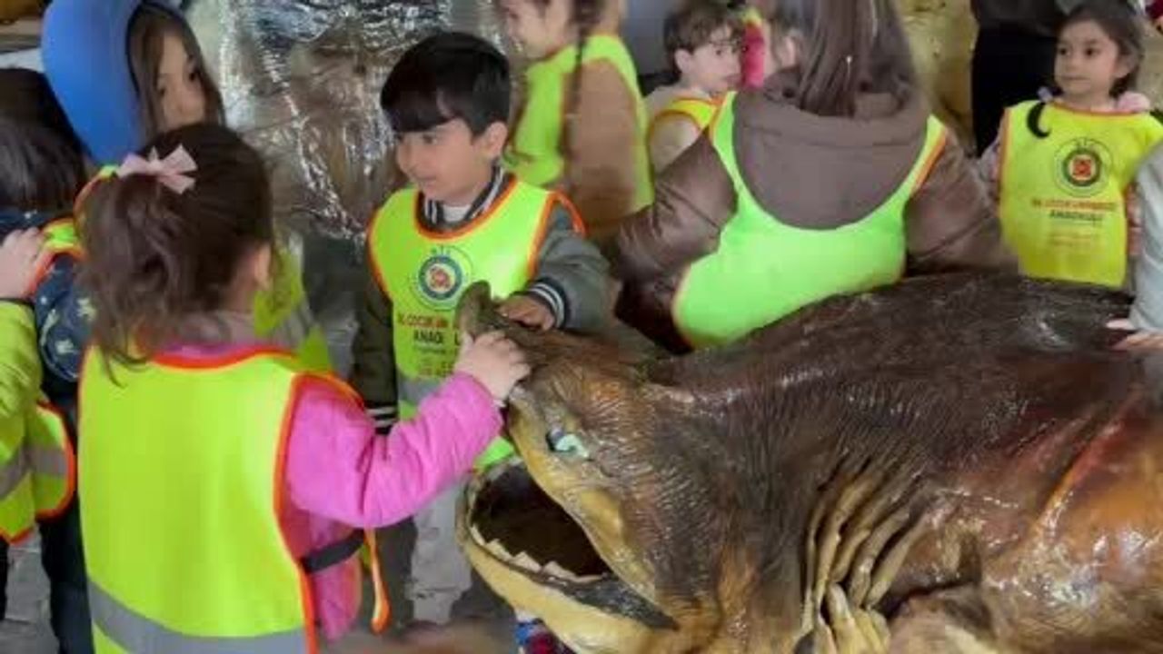 Beylikdüzü'nde Minikler Türkiye Deniz Canlıları Müzesi'nde Dev Mumya Balıklarıyla Tanıştı