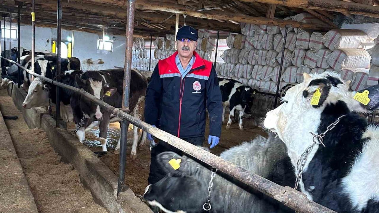 Beyşehir’de Hayvan Sağlığına Sıkı Takip: Şap ve Brusella Aşıları Devam Ediyor