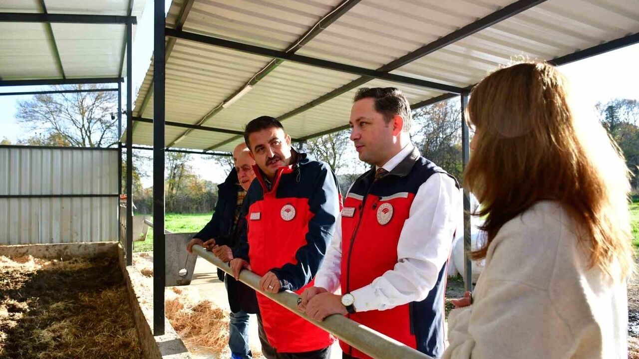 Biga'da Ari İşletme Belgesi Kadriye Ökan Saraç'a Takdim Edildi