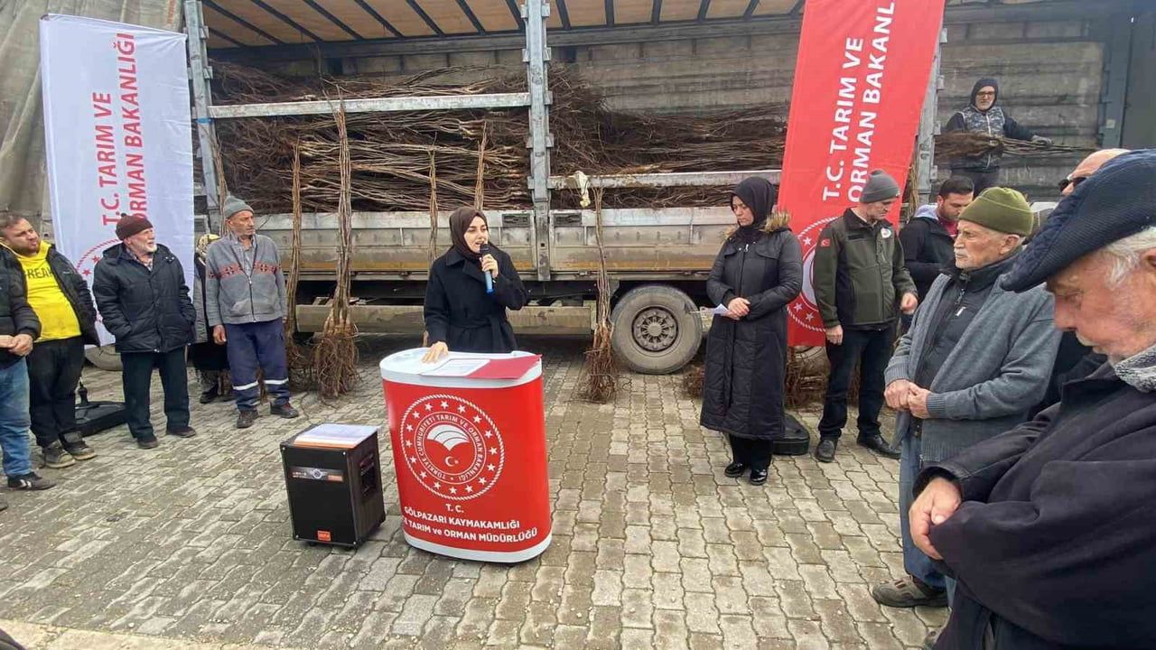 Bilecik’te 11 Bin Fidan: Gölpazarı'nda 143 Üreticiye %37,5 Hibe