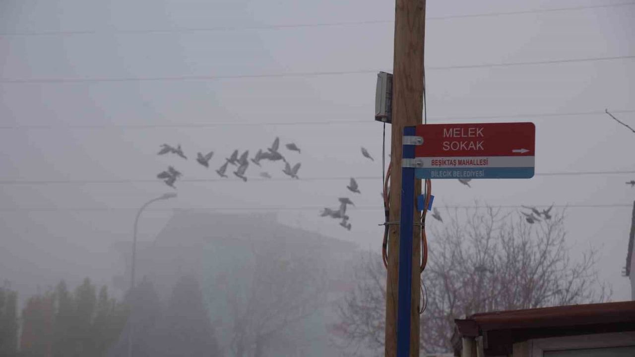 Bilecik’te Cadde ve Sokak Tabelaları Yenileniyor