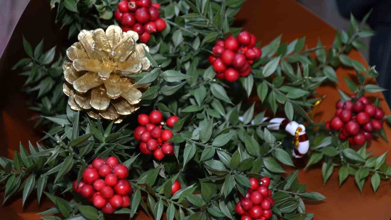 Bilecik'te Yılbaşı Telaşı: Kokina Satışları Hızlandı