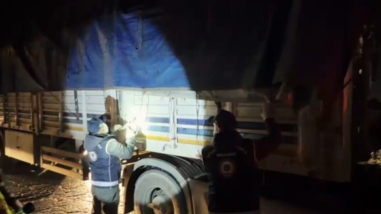 Bitlis'te Tır Dorsesinde 31 Düzensiz Göçmen Yakalandı — 1 Tutuklama