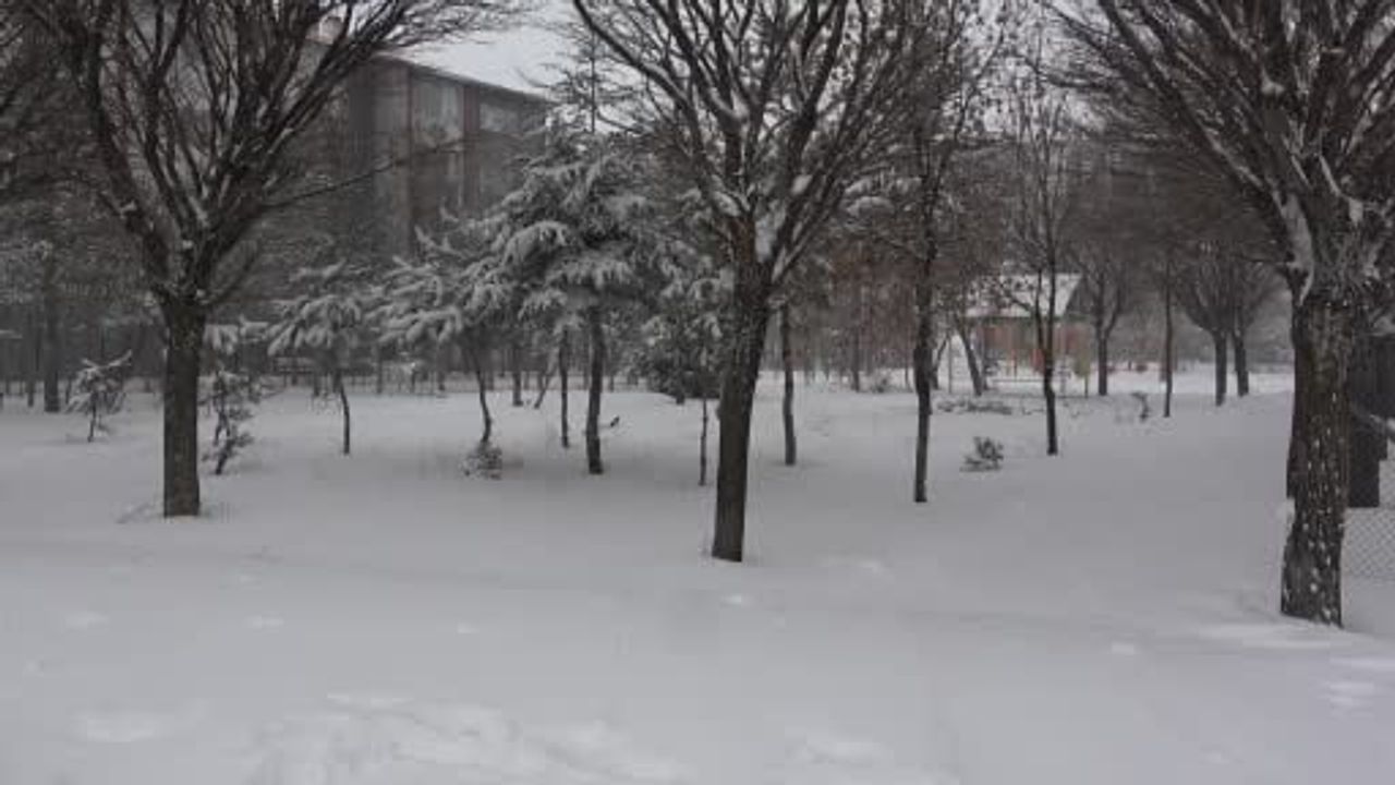 Bitlis'te Yoğun Kar: 180 Köy Yolu Ulaşıma Kapandı