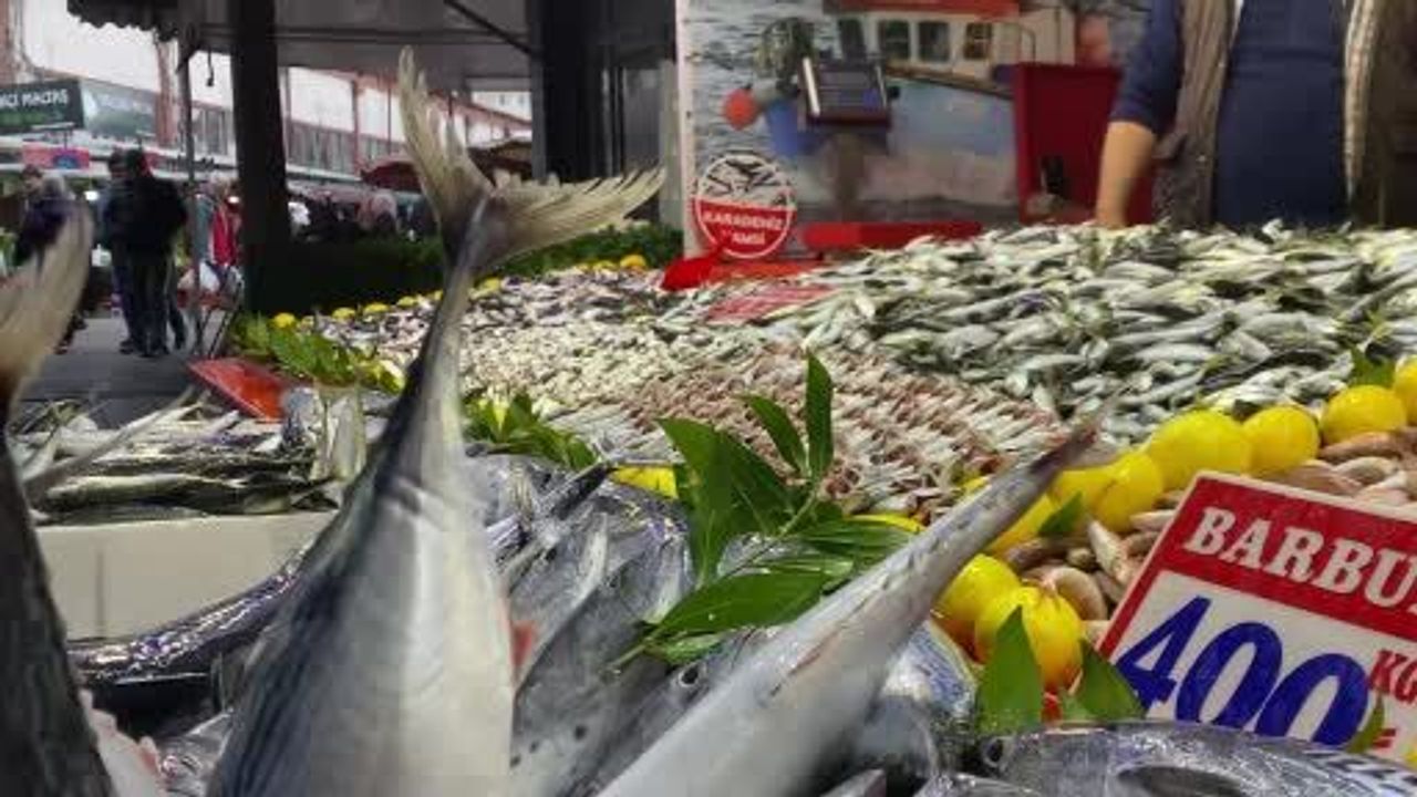 Bolu'da fırtına hamsiyi vurdu: İstavrit ve sardalya öne çıktı