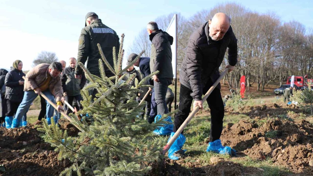 Bolu'da Grand Kartal Otel yangını: 78 kişi için Yumrukaya'da hatıra ormanı