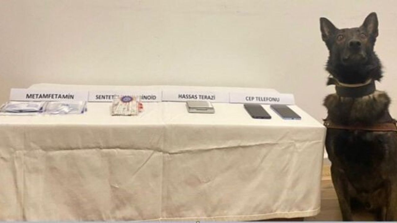 Bolu'da Jandarma Operasyonunda 11,1 Gram Metamfetamin Ele Geçirildi