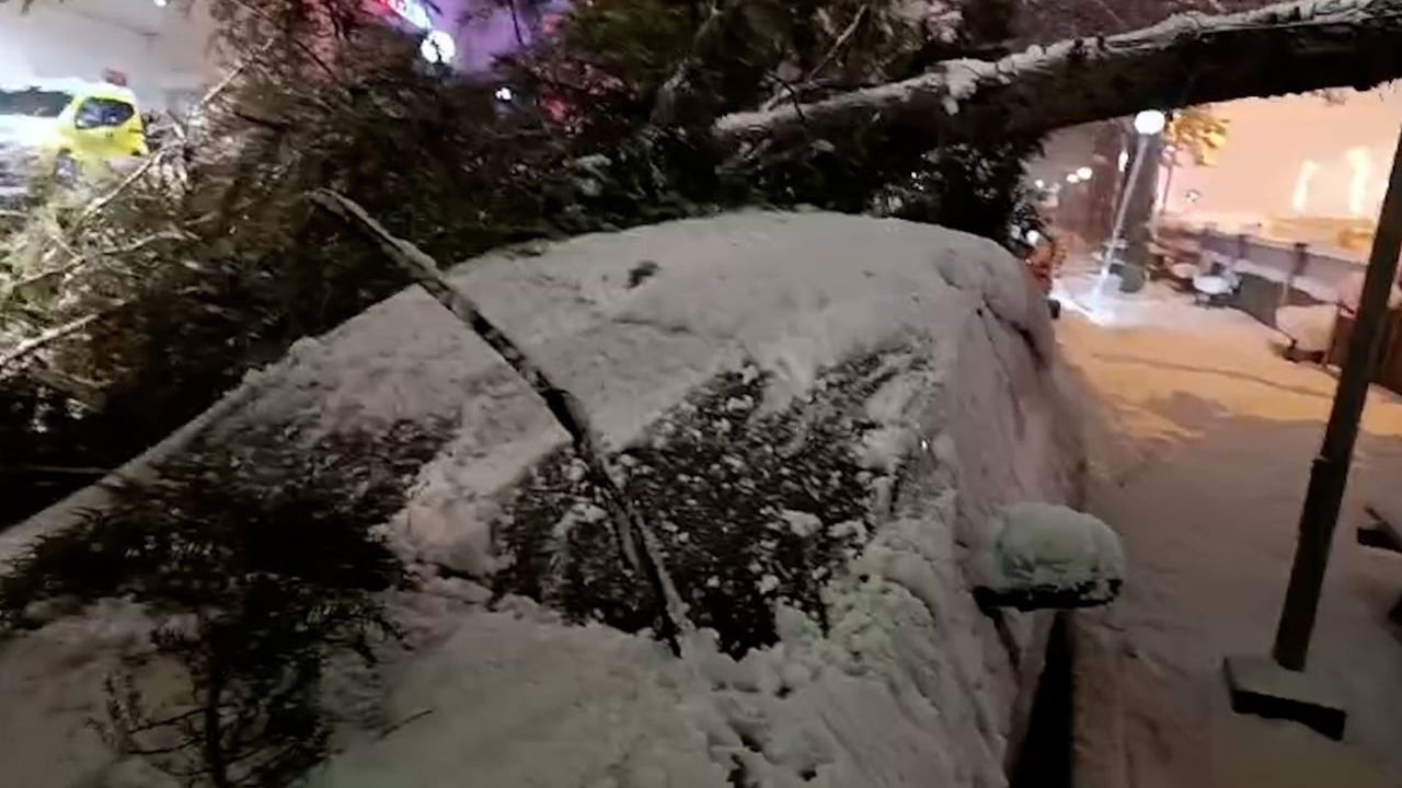 Bolu’da Kar Ağaç Devrilmesine Neden Oldu: Köroğlu Devlet Hastanesi’nde Araç Hasarlandı