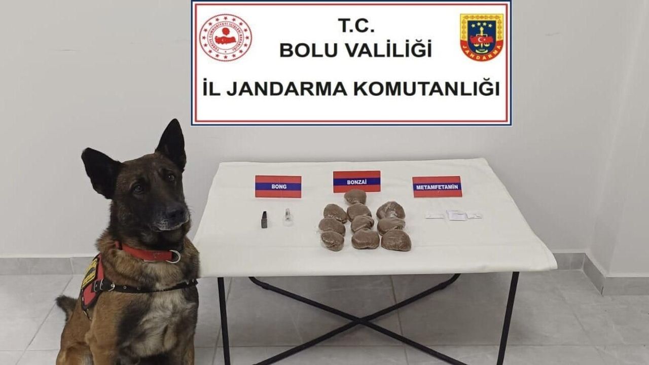 Bolu’da otomobilde zulalanmış uyuşturucu: 2 gözaltı