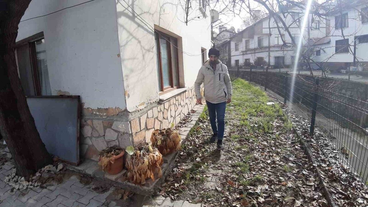 Bolu'da Pazardan Alınan Mantar Zehirledi: 'Kimse mantar satın almasın'