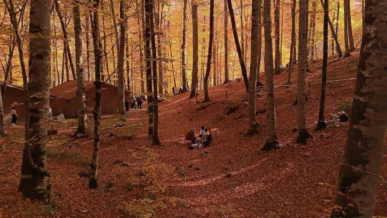 Bolu’nun Doğa Alanlarına 2026’da Randevulu Giriş