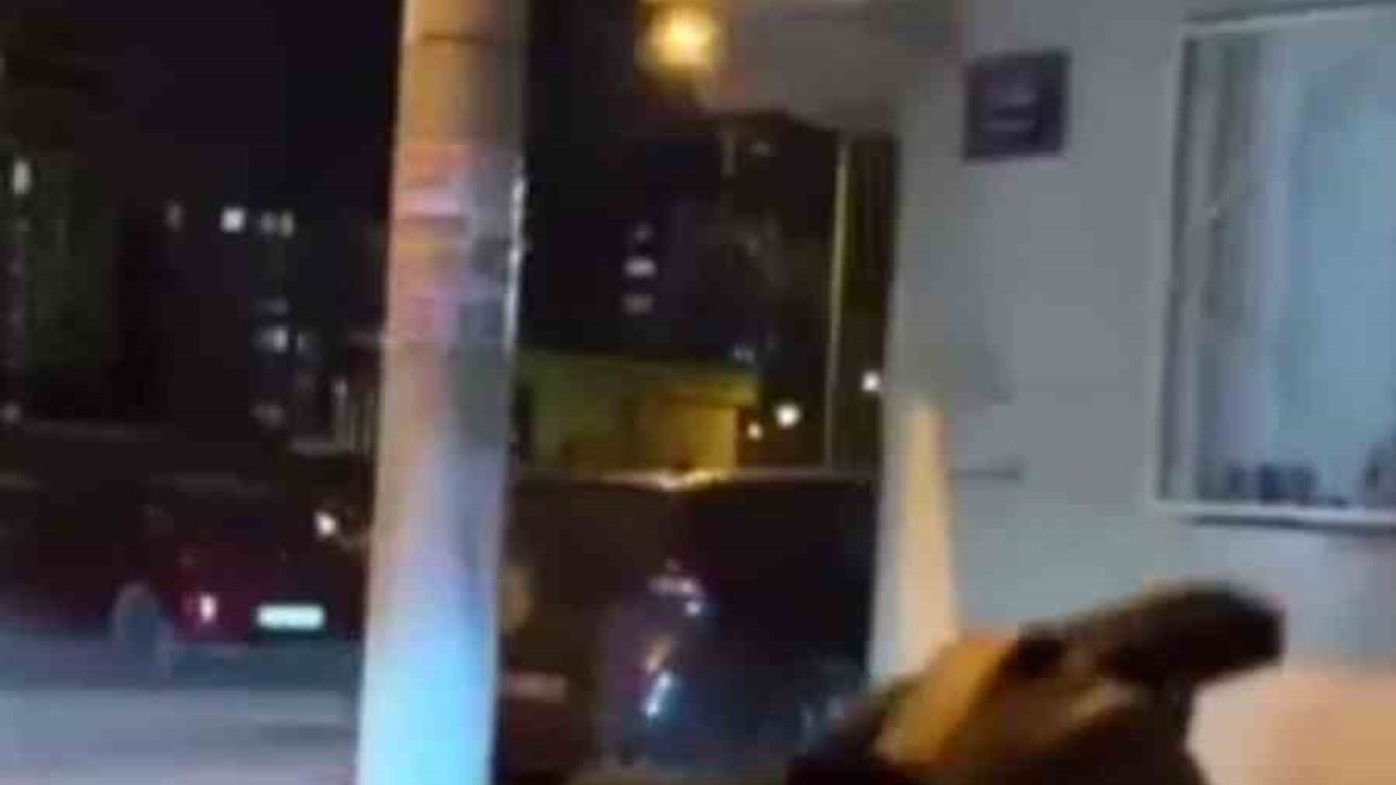 Bornova'da Sokakta Tabanca ile Ateş Açan Şüpheli Yakalandı