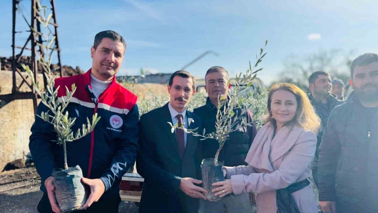 Bozdoğan’da 8 bin 700 Adet Fidan Çiftçilere Dağıtıldı