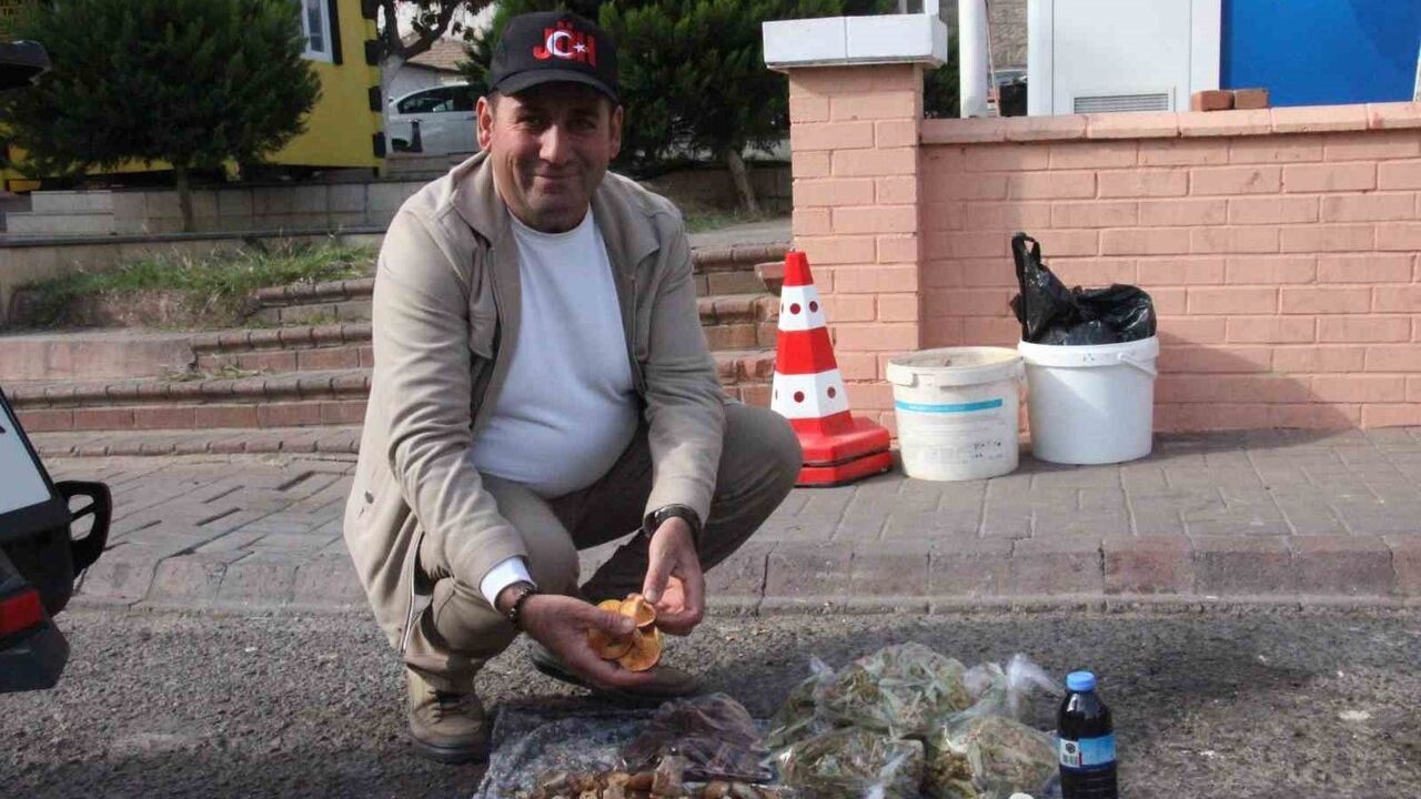 Bozdoğan'da Doğal Mantarlar: Lezzet ve Tehlike Bir Arada