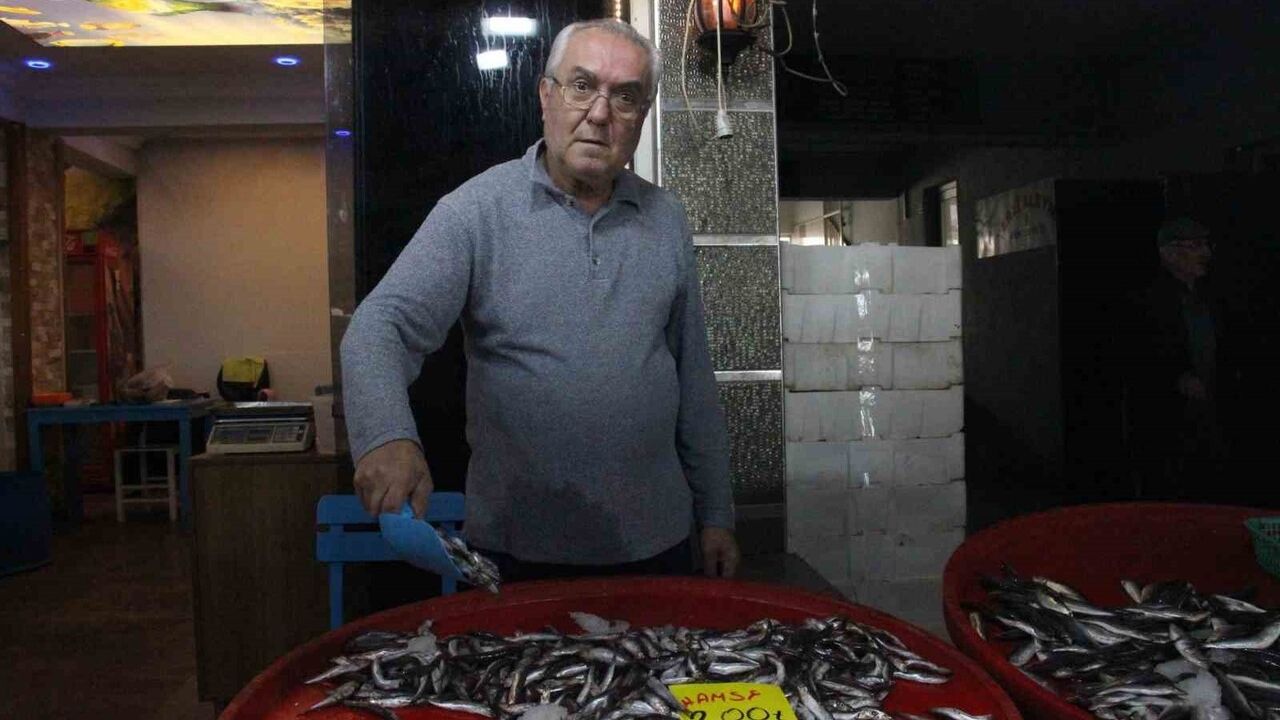 Bozdoğan'da Hamsi Revaçta: Tezgahlarda Hamsi, İstavrit ve Sardalya