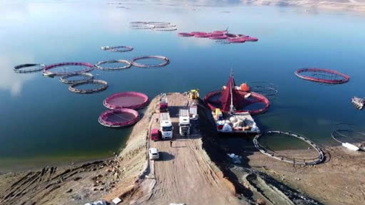 Bozkırdan Dünyaya: Yozgat Çekerek'ten Rusya ve Japonya'ya Alabalık İhracatı