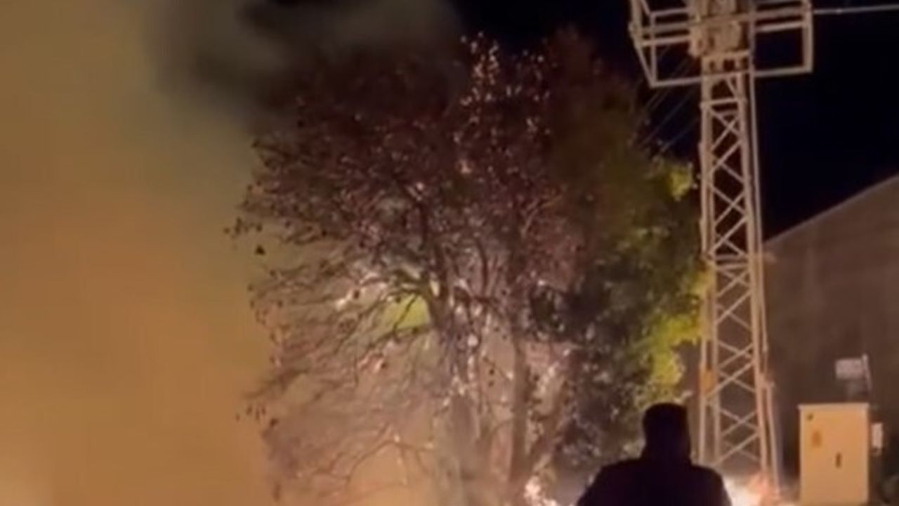 Bozyazı'da Sazlık Yangını Söndürüldü — Bir Sera Zarar Gördü