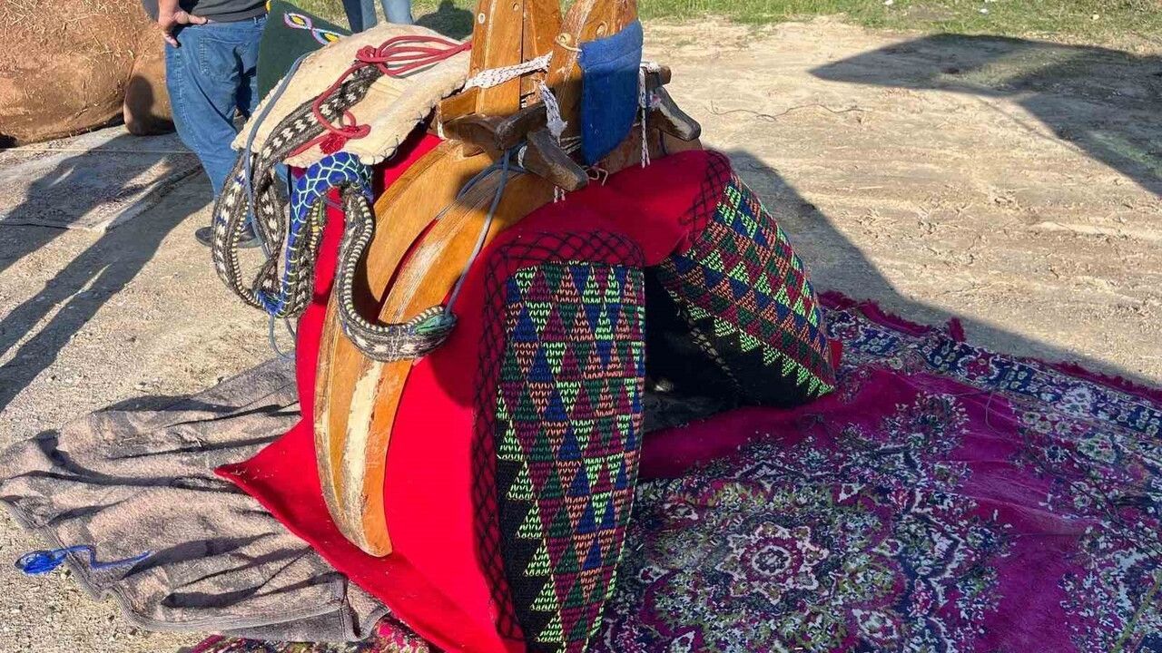 Buldan'da İhramcı Devesi Dualarla Havudunu Kuşandı