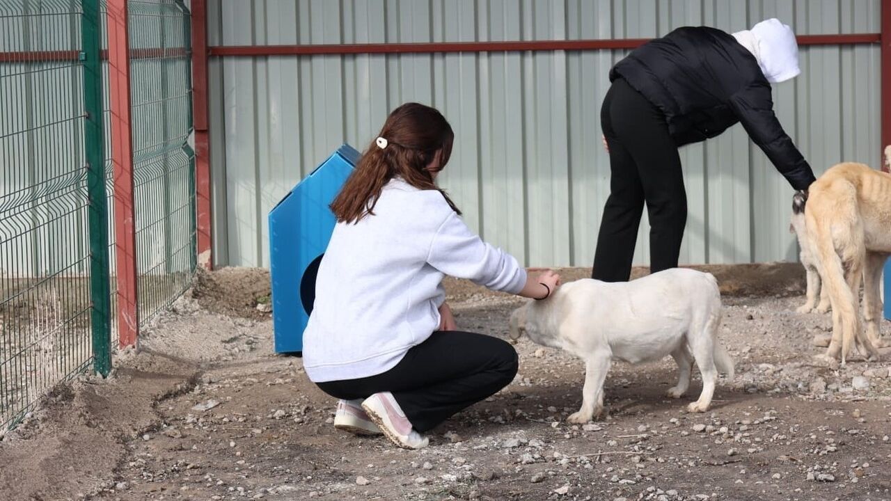 Bünyan’da Öğrencilerden Sokak Hayvanları İçin Anlamlı Ziyaret