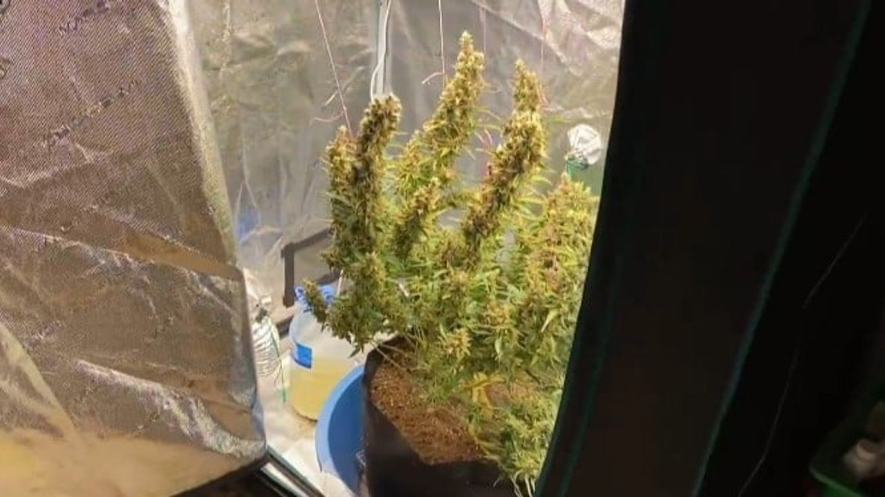 Bursa’da Narkotik Operasyonları: Jandarma Zehir Tacirlerine Ağır Darbe