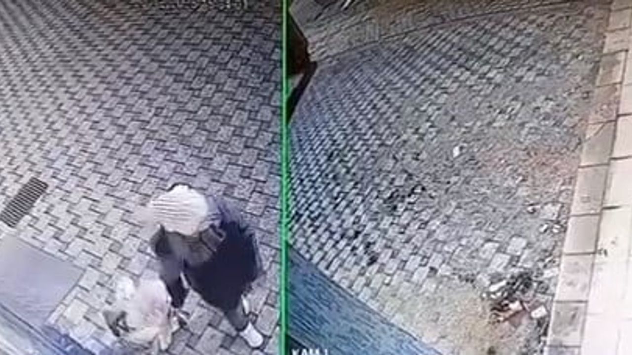 Bursa'da pazar arabası hırsızlığı: Alemdar Mahallesi'nde güvenlik kameralarına yansıdı