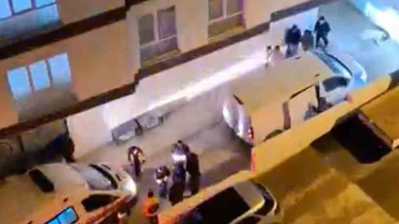 Bursa Demirtaş'ta Başıboş Köpek Saldırısı: 3 Yaralı, Polis Müdahalesi